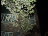 Thumbnail 28