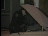 Thumbnail 24