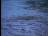 Thumbnail 28