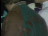 Thumbnail 31