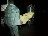 Thumbnail 54