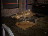 Thumbnail 21