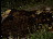 Thumbnail 23