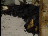 Thumbnail 24