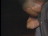 Thumbnail 18