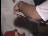 Thumbnail 39