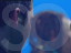 Thumbnail 24