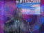 Thumbnail 28