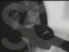 Thumbnail 31