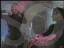 Thumbnail 22