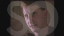 Thumbnail 29