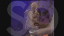 Thumbnail 36