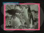 Thumbnail 16