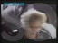 Thumbnail 17