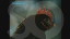 Thumbnail 36