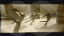 Thumbnail 24