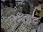 Thumbnail 32