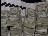 Thumbnail 33
