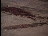 Thumbnail 23