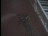 Thumbnail 36