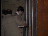 Thumbnail 56