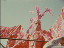 Thumbnail 18