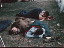 Thumbnail 17