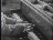 Thumbnail 39