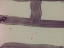 Thumbnail 23