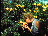 Thumbnail 35