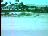 Thumbnail 41