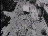 Thumbnail 30