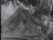 Thumbnail 33