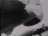 Thumbnail 53