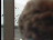 Thumbnail 22