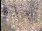 Thumbnail 19