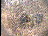 Thumbnail 22