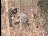 Thumbnail 25