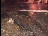 Thumbnail 24