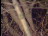 Thumbnail 24