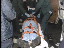 Thumbnail 17
