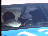 Thumbnail 23