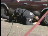 Thumbnail 37