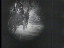 Thumbnail 67