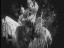 Thumbnail 28