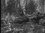 Thumbnail 35
