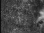 Thumbnail 62