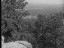 Thumbnail 64