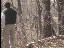 Thumbnail 33