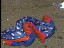 Thumbnail 30